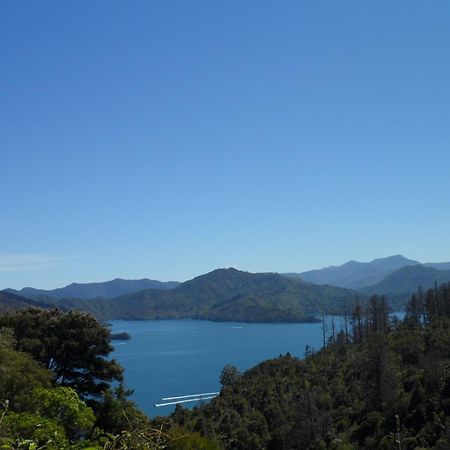 Sequoia Lodge Backpackers Picton Exterior foto