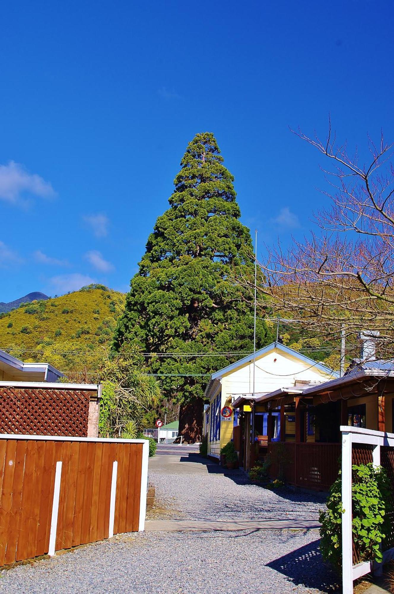 Sequoia Lodge Backpackers Picton Exterior foto