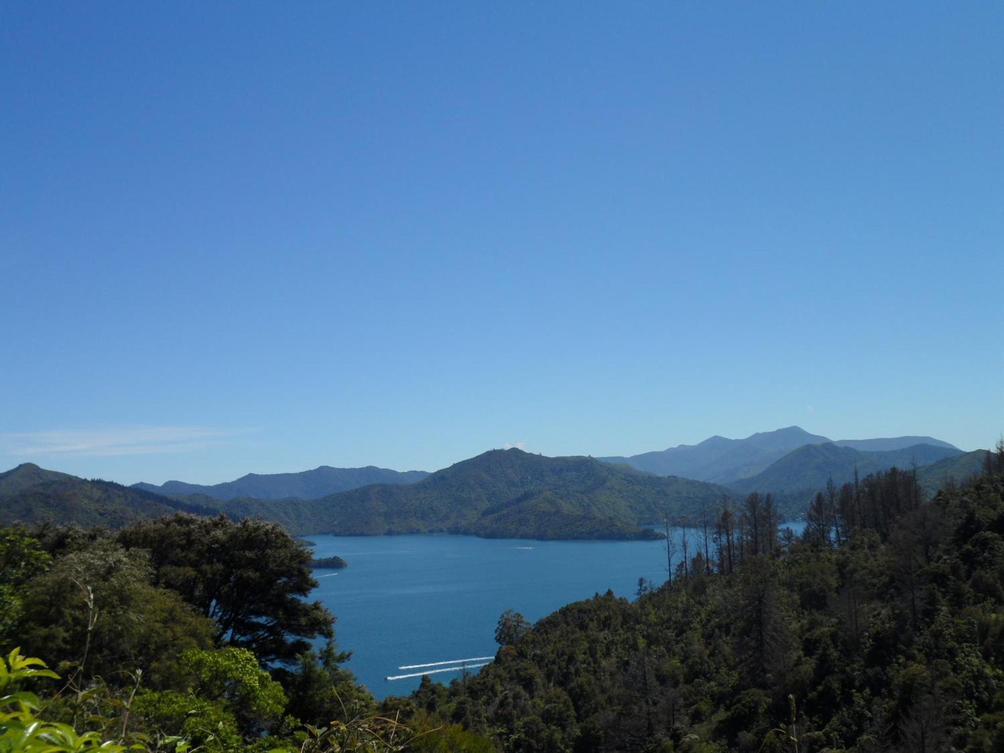 Sequoia Lodge Backpackers Picton Exterior foto